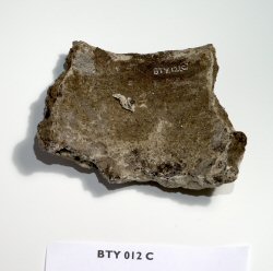 Shard of pottery (1 of 17)