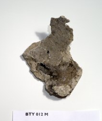 Shard of pottery (1 of 17)