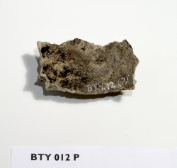 Shard of pottery (1 of 17)