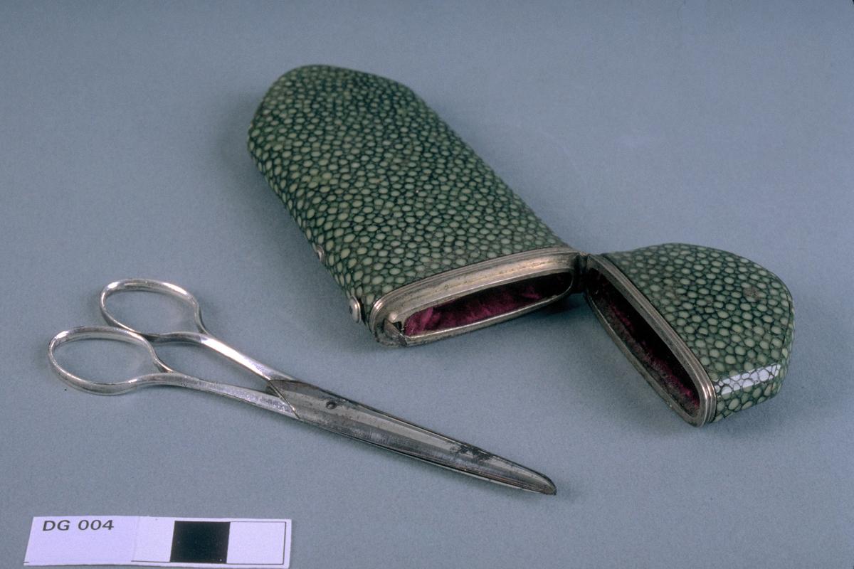 Scissors in case | Animal,Skin,Fish Skin,Shark skin (possibly), Metal,silver | 19th century AD (possibly) | The Hunt Collection | PD Scissors in case