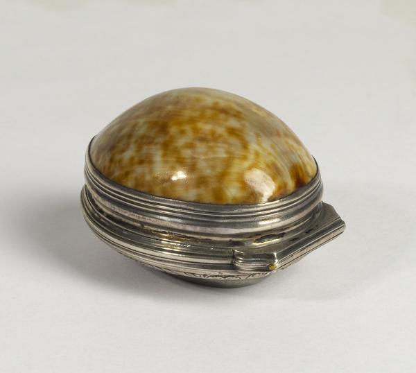 Shell snuff-box