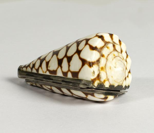 Shell snuff-box