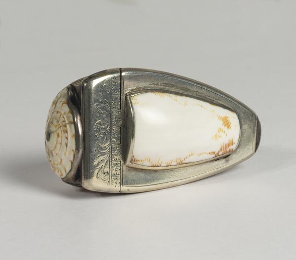 Shell snuff-box