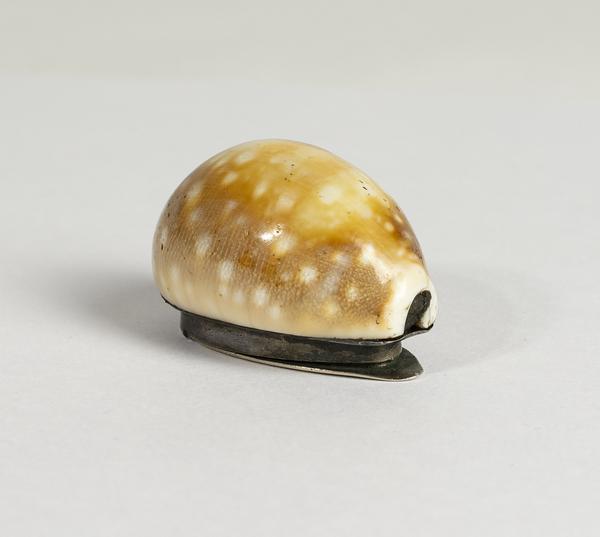 Shell snuff-box