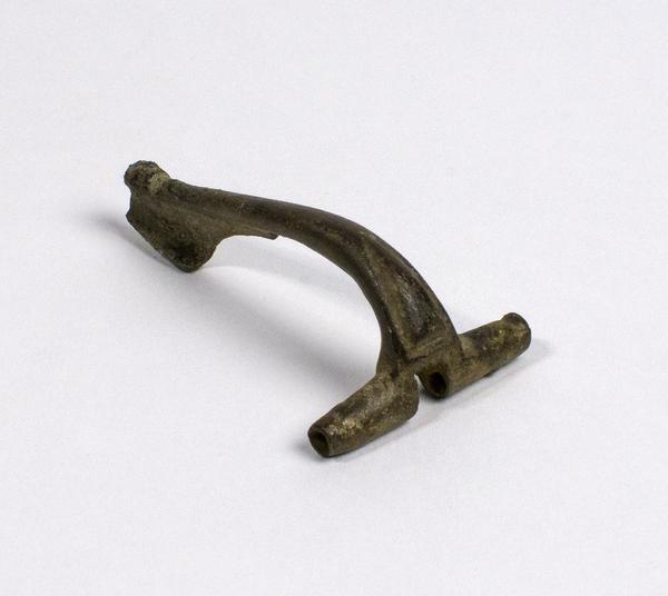 Fibula