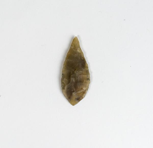 Leaf-shaped arrow-head