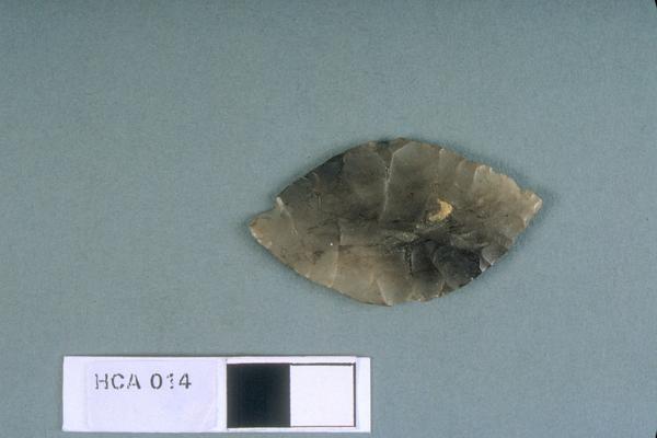 Leaf-shaped arrow-head