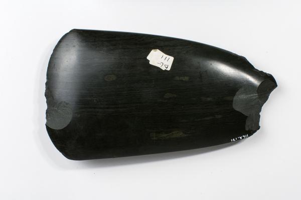 Polished stone axe