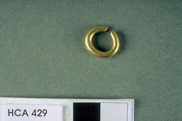 Ring (Hair ?)