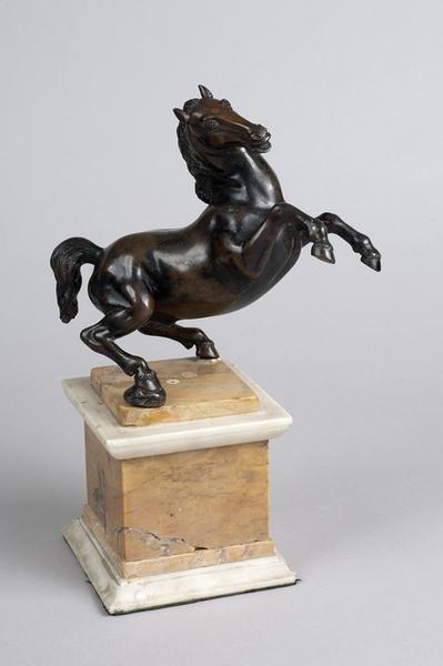 Rearing Horse/ Da Vinci Horse