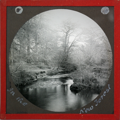 Magic Lantern Slide: In the New Forest