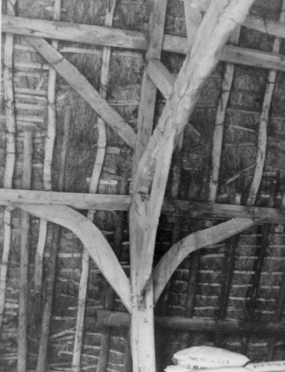 A beautiful responsive image